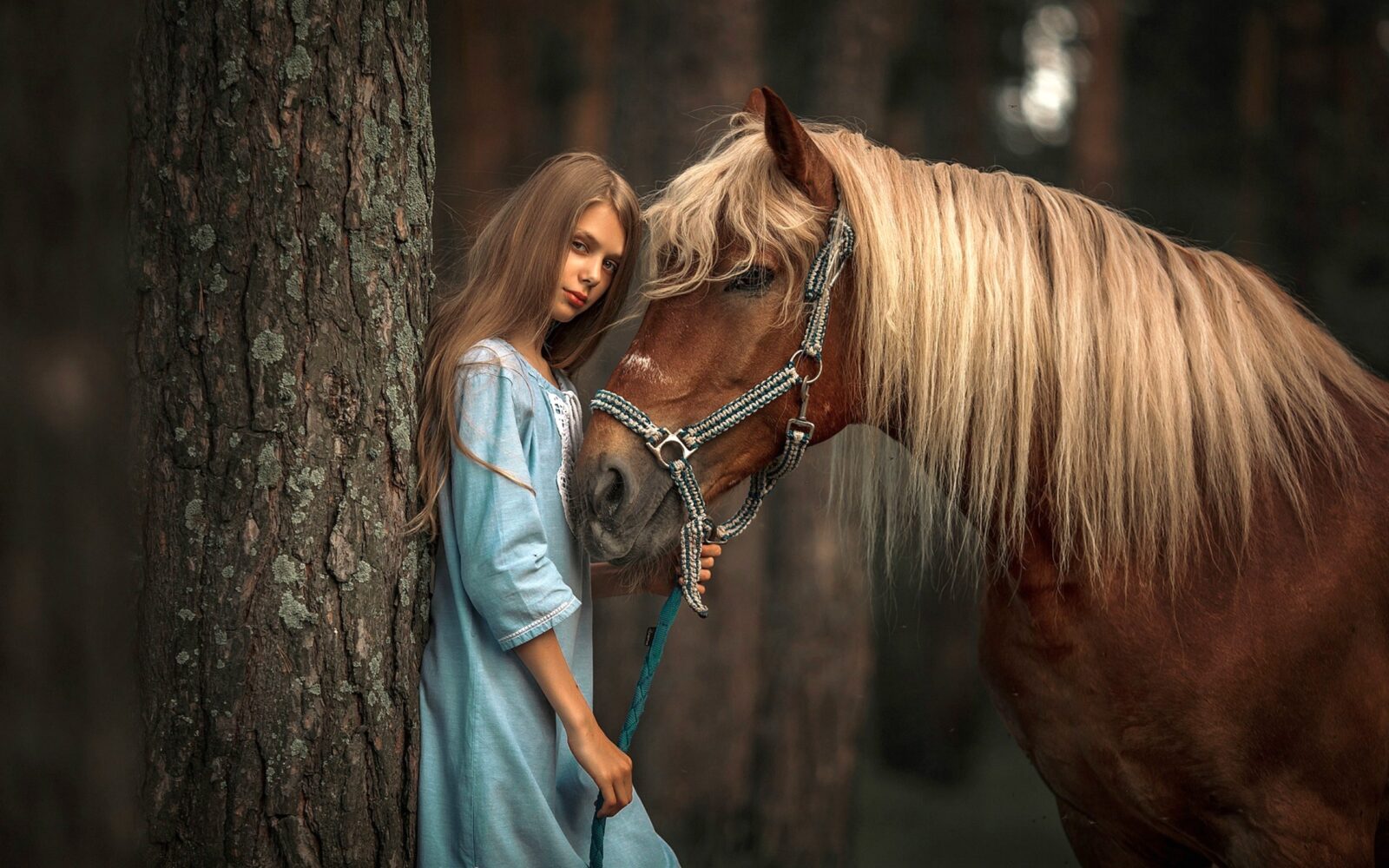 6135481-brunette-cowgirl-horse-model